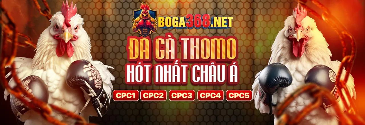 Hình ảnh tượng trưng cho cam kết cá cược có trách nhiệm của 5top